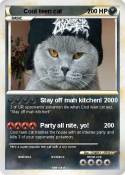 Cool teen cat