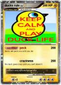 ducks rule
