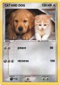 CAT AND DOG