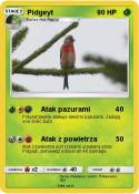 Pidgeyt