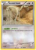 Ancient fossil