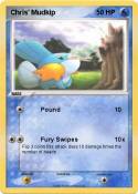 Chris' Mudkip