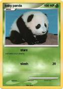 baby panda