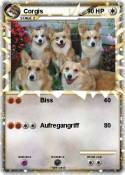 Corgis