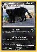 Gatto Nero