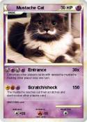 Mustache Cat