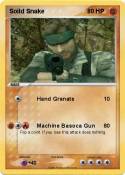 Soild Snake