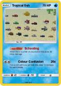 Tropical fish