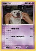 funny dog