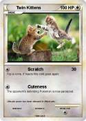 Twin Kittens
