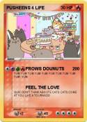 PUSHEENS 4 LIFE
