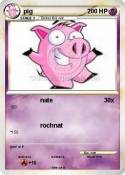 pig