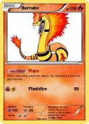 Burnake