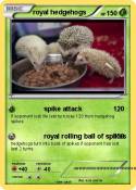 royal hedgehogs