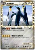 penguins penguins