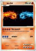 bro fist