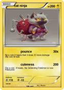 cat ninja