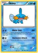 Mudkip