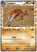 Kangaroo