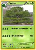 Pinetree Pinetree