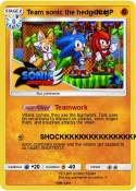 Team sonic the