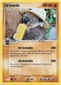 mr.kowala