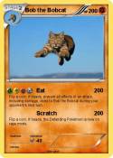Bob the Bobcat