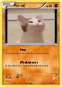 Pop cat