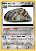 Zebra Mussels