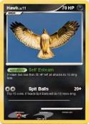 Hawk
