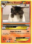 Kitty Destroyer