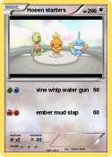 Hoeen starters