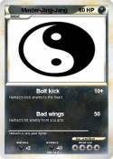 Master-Jing-Jang