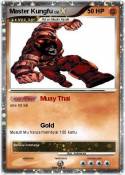 Master Kungfu