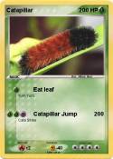 Catapillar