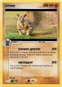 schaap
