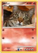 kAtT