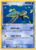 turtle