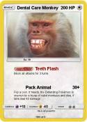 Dental Care