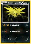 shadow zapdos