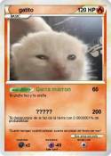 gatito gatito