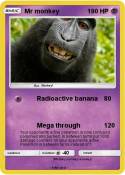 Mr monkey