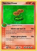 Twin Sun Flower