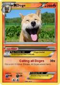 Doge
