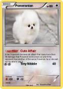 Pomeranian