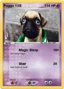Puggo YXE