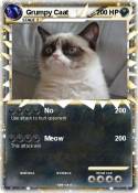 Grumpy Caat