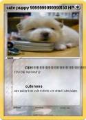 cute puppy