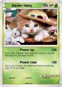 Garden Tabby