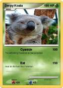 Derpy Koala